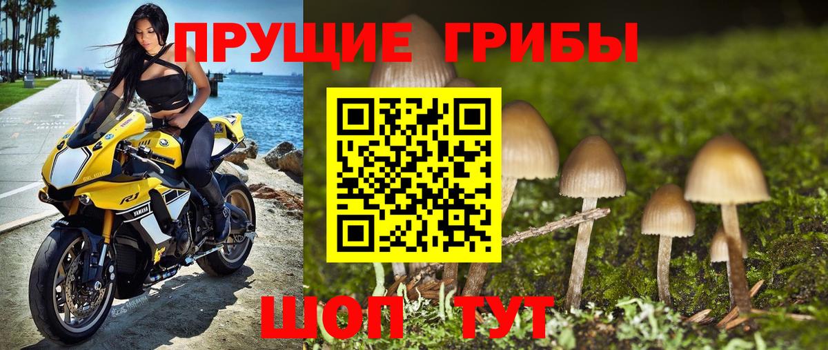Псилоцибиновые грибы Psilocybe  Вход с VPN  Обь 