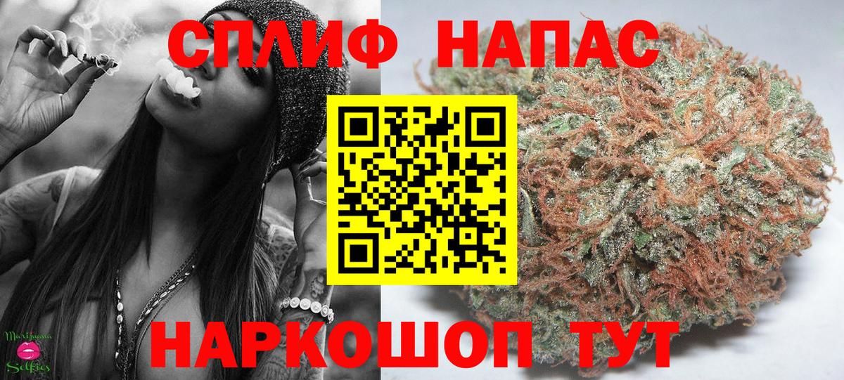 Марихуана сатива Обь
